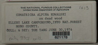 Image Associated With the Occurence